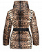 Леопардовая куртка с поясом Roberto Cavalli | Фото 3