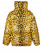Желтая куртка с леопардовым принтом Dolce&Gabbana | Фото 2