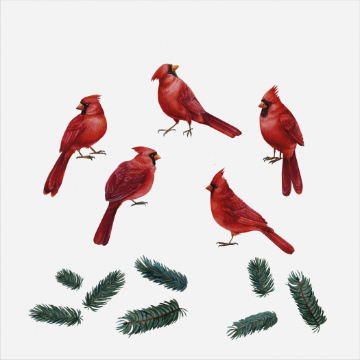 Наклейки на окно &quot;Зимние птицы Красный кардинал&quot; Kotya Motya design | Фото 1