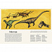 Книга Динозавриум Махаон | Фото 3