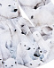 Толстовка с принтом Polar Bear Jersey Molo | Фото 3