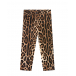 Бархатные леопардовые брюки Dolce&Gabbana | Фото 1