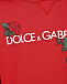 Платье-худи с вышивкой &quot;розы&quot; Dolce&Gabbana | Фото 3
