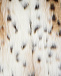 Шуба из экомеха с узором под рысь Ermanno Scervino | Фото 3