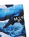 Плавки-шорты Whales Molo | Фото 3