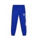 Синие спортивные брюки с надписями MSGM | Фото 1