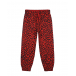 Красные спортивные брюки с леопардовым принтом Dolce&Gabbana | Фото 1