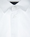 Рубашка из фактурного хлопка Dal Lago | Фото 3