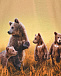 Толстовка Reif Bear Life Molo | Фото 3