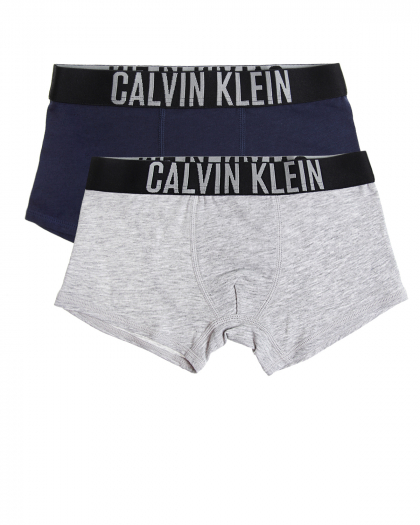 Комплект трусов-боксеров из хлопка, 2 шт Calvin Klein | Фото 1