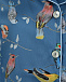 Комплект NICOLE Pajamas с принтом &quot;птицы&quot; Pietro Brunelli | Фото 11
