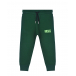 Зеленые спортивные брюки Diesel | Фото 1