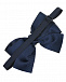 Синий галстук-бабочка со стразами Aletta | Фото 3