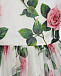 Платье из органзы с принтом &quot;Тропические розы&quot; Dolce&Gabbana | Фото 4
