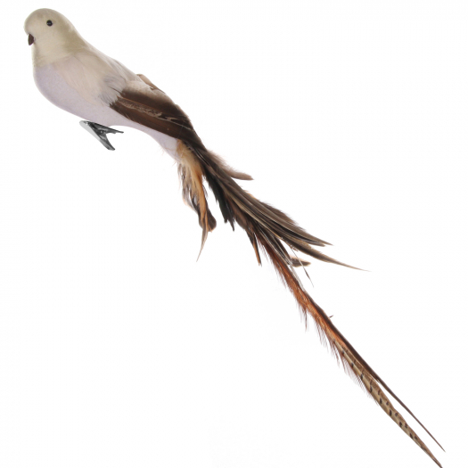 Декор Птица бежевая, коричневый хвост-перо, 55 см SHISHI | Фото 1