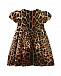 Леопардовое платье с шортиками Dolce&Gabbana | Фото 2