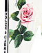 Белый спортивный костюм с принтом &quot;розы&quot; Dolce&Gabbana | Фото 7