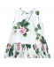 Платье из поплина с принтом &quot;Тропические розы&quot; Dolce&Gabbana | Фото 1
