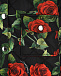 Куртка с принтом &quot;розы&quot; Dolce&Gabbana | Фото 3