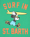 Зеленая футболка с принтом &quot;Surf in St.Barth&quot; Saint Barth | Фото 3