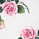 Трикотажное одеяло с принтом &quot;Тропические розы&quot; Dolce&Gabbana | Фото 5