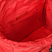 Красный рюкзак с лого, 30x32x16 см Dolce&Gabbana | Фото 6