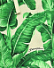 Трикотажные шорты с принтом &quot;листья&quot; Dolce&Gabbana | Фото 3
