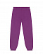 Спортивные брюки Ammosa &quot;Grape&quot; Molo | Фото 3