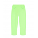 Флисовые брюки салатового цвета Poivre Blanc | Фото 1