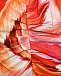 Платье с принтом &quot;перья&quot;, красное Roberto Cavalli | Фото 3