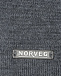 Темно-серая базовая шапка Norveg | Фото 3