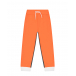Оранжево-серые спортивные брюки Emporio Armani | Фото 1