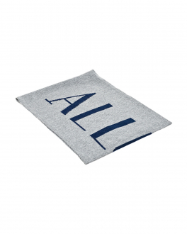 Серый кашемировый шарф с логотипом Allude Серый, арт. 195/17140 83/17 | Фото 1