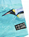 Плавки-шорты Nansen The Penguin Molo | Фото 3