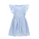 Голубое платье с цветочным шитьем Miss Grant | Фото 1