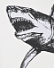 Футболка молочного цвета с принтом &quot;акула&quot; Antony Morato | Фото 4