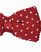 Бордовый вязаный галстук-бабочка Silver Spoon | Фото 3
