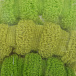 Набор резинок для волос в корообке, зеленые, 6 шт. Tais | Фото 3