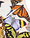 Майка Papillon Molo | Фото 3