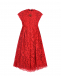 Кружевное платье красного цвета Dolce&Gabbana | Фото 1