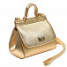 Золотистая сумка, 17x12x7 см Dolce&Gabbana | Фото 2