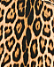 Леопардовый свитшот с лого Roberto Cavalli | Фото 3