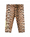 Леопардовые леггинсы с лого Roberto Cavalli | Фото 2