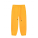 Желтые спортивные брюки Dan Maralex | Фото 1
