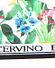 Раздельный купальник с цветочным принтом Ermanno Scervino | Фото 3