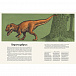 Книга Динозавриум Махаон | Фото 5