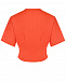 Приталенная оранжевая футболка  | Фото 5