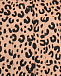 Бежевая рубашка с леопардоввым принтом Dan Maralex | Фото 7
