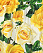 Шелковые шорты со сплошным принтом &quot;желтые розы&quot; Dolce&Gabbana | Фото 3