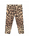 Леггинсы с леопардовым принтом Dolce&Gabbana | Фото 2